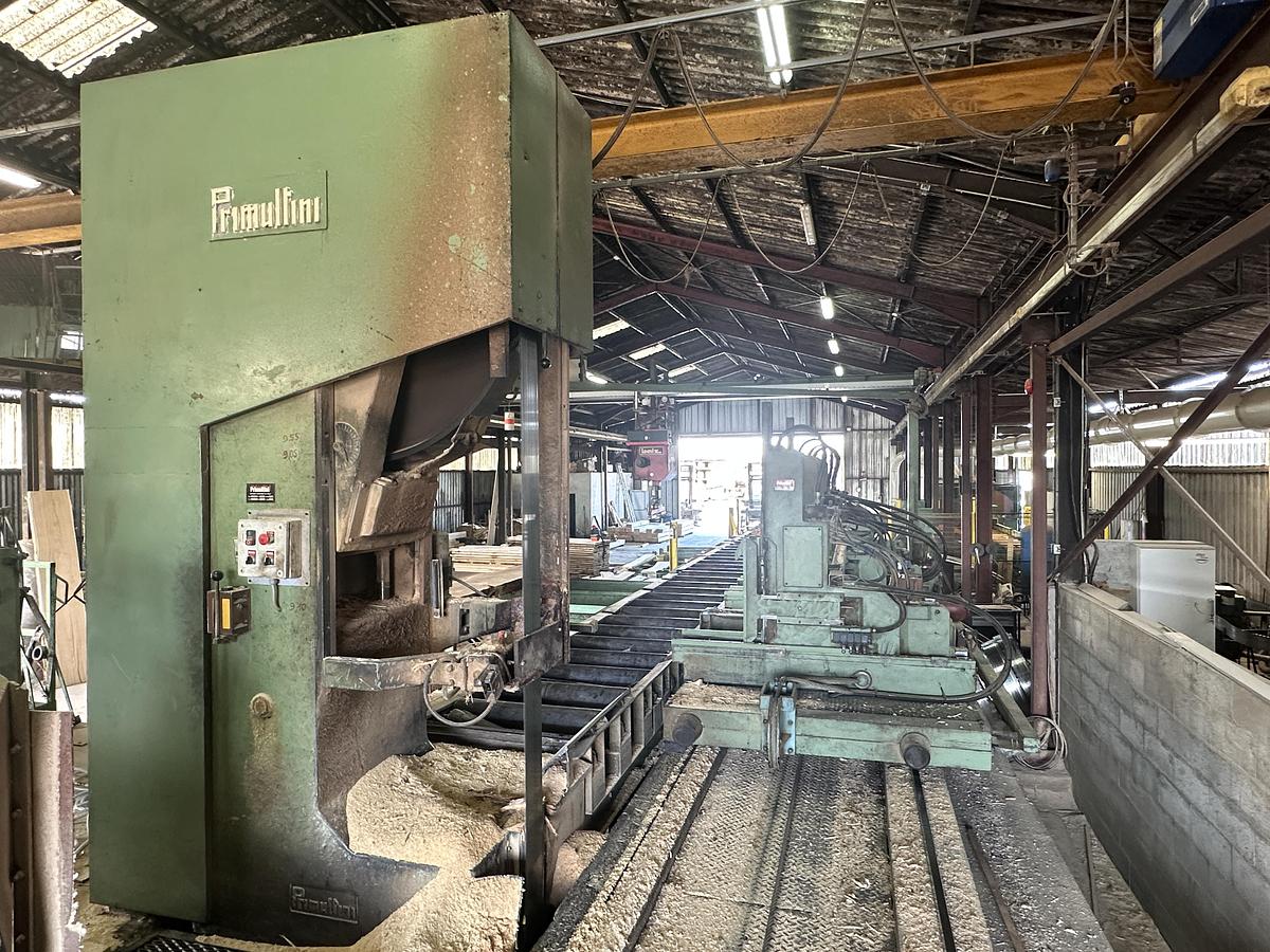 Gebruikt Primultini SGA-CFF-IEB