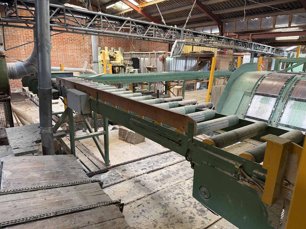 Gebruikt HIT edging line + BONGIANNI multi-ripsaw
