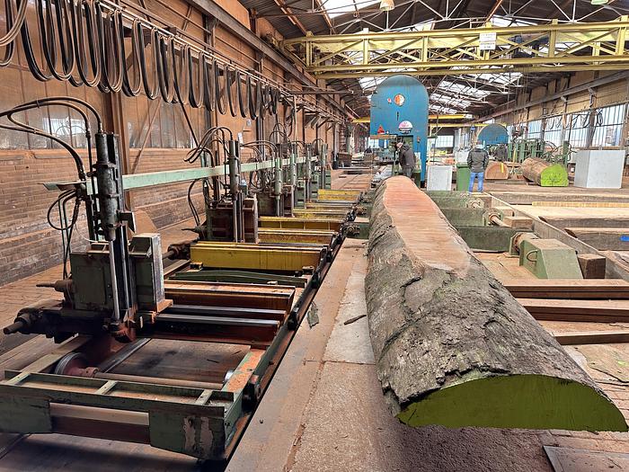 Gebruikt Complete zagerij voor tropisch hardhout