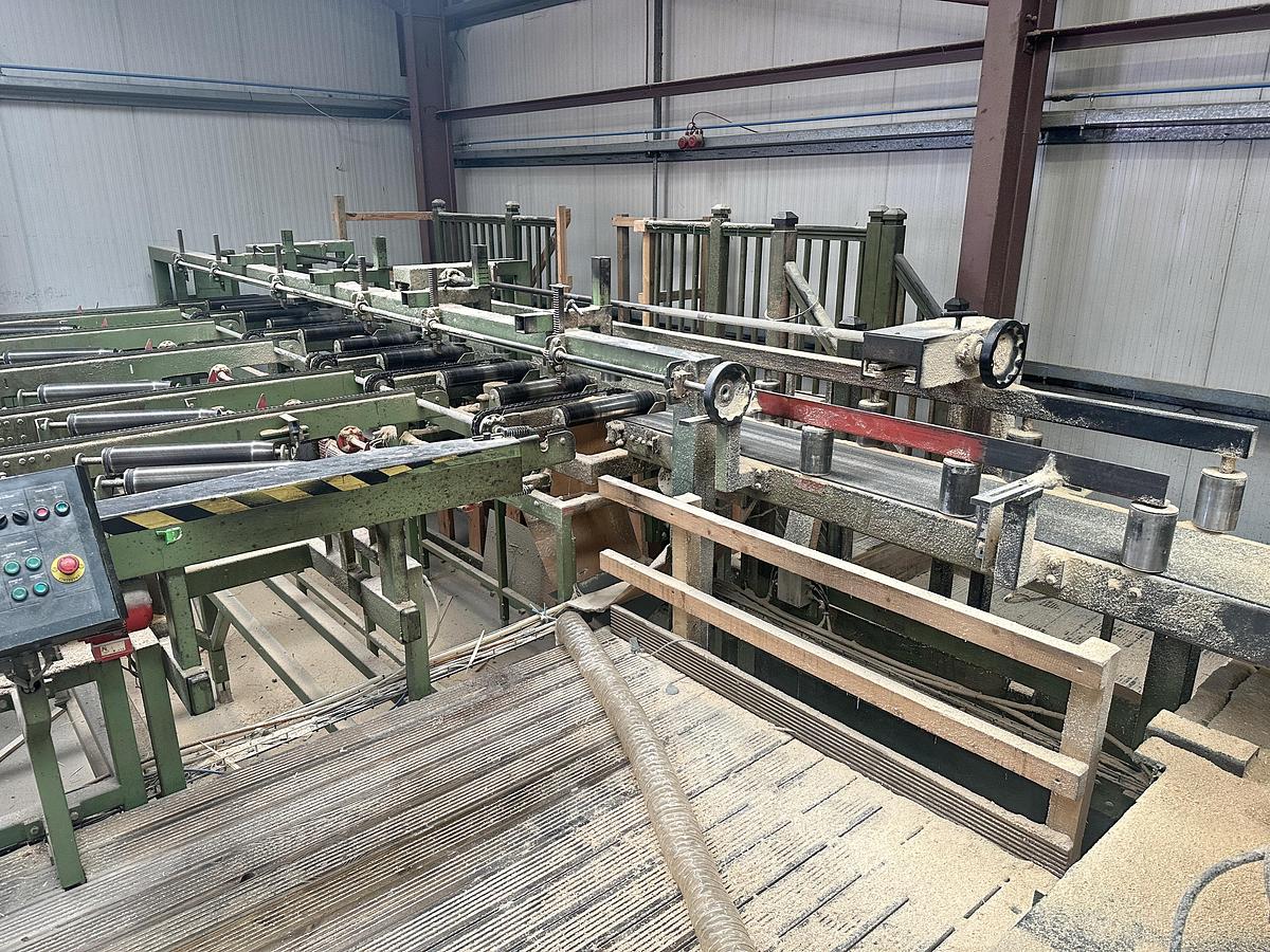 Gebruikt WACO resaw line BKW-Twin