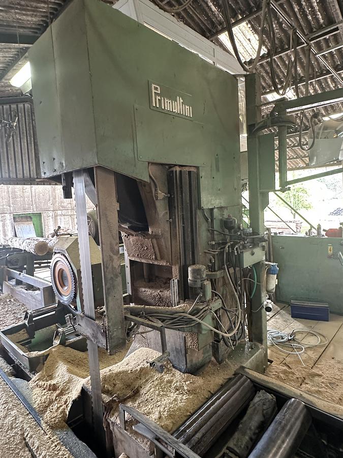 Gebruikt Primultini SGA-CFF-IEB