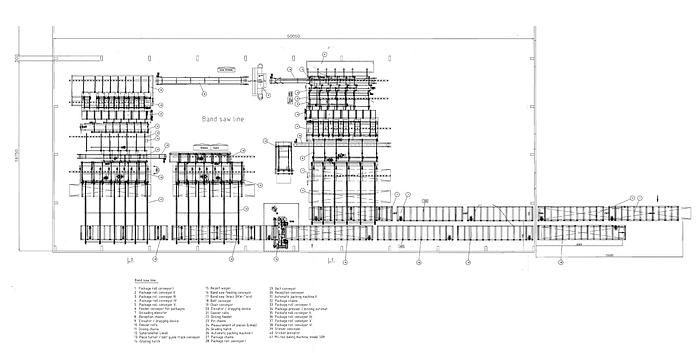 Gebruikt WACO + KUJOKON twin resaw line BKW