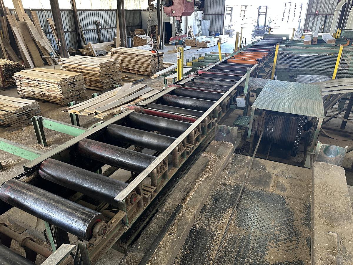 Gebruikt Primultini SGA-CFF-IEB