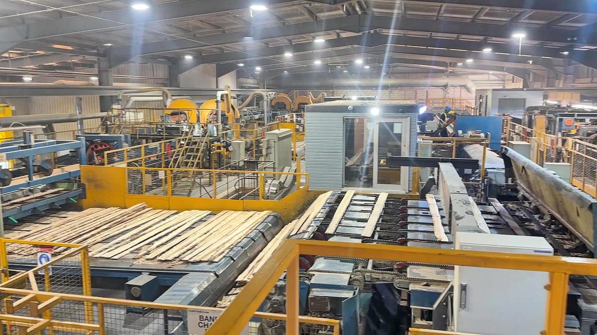 Gebruikt USNR sawmill + sorting