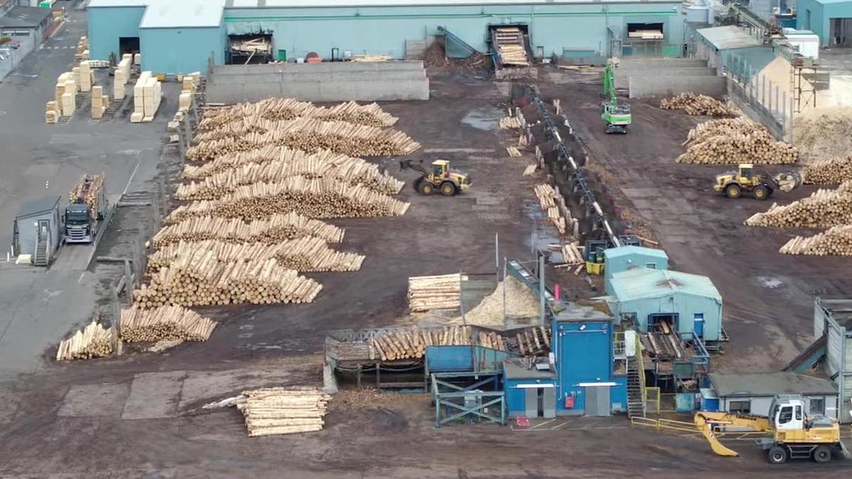 Gebruikt Söderhamn Eriksson canter-quadro sawmill + sorting