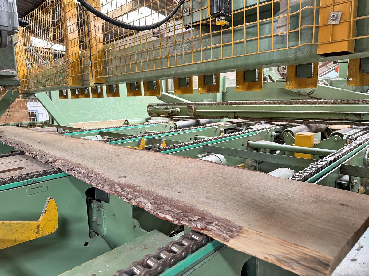 Gebruikt HIT edging line + BONGIANNI multi-ripsaw