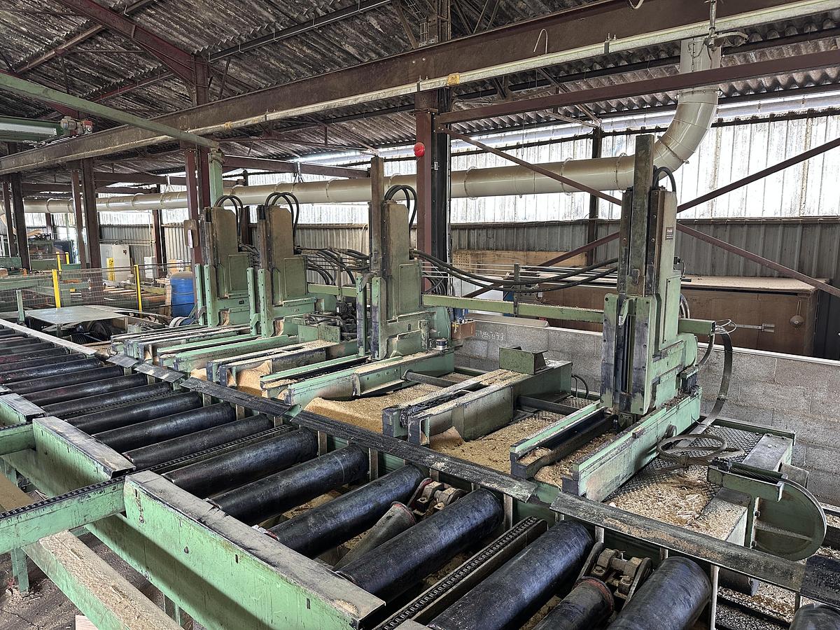 Gebruikt Primultini SGA-CFF-IEB