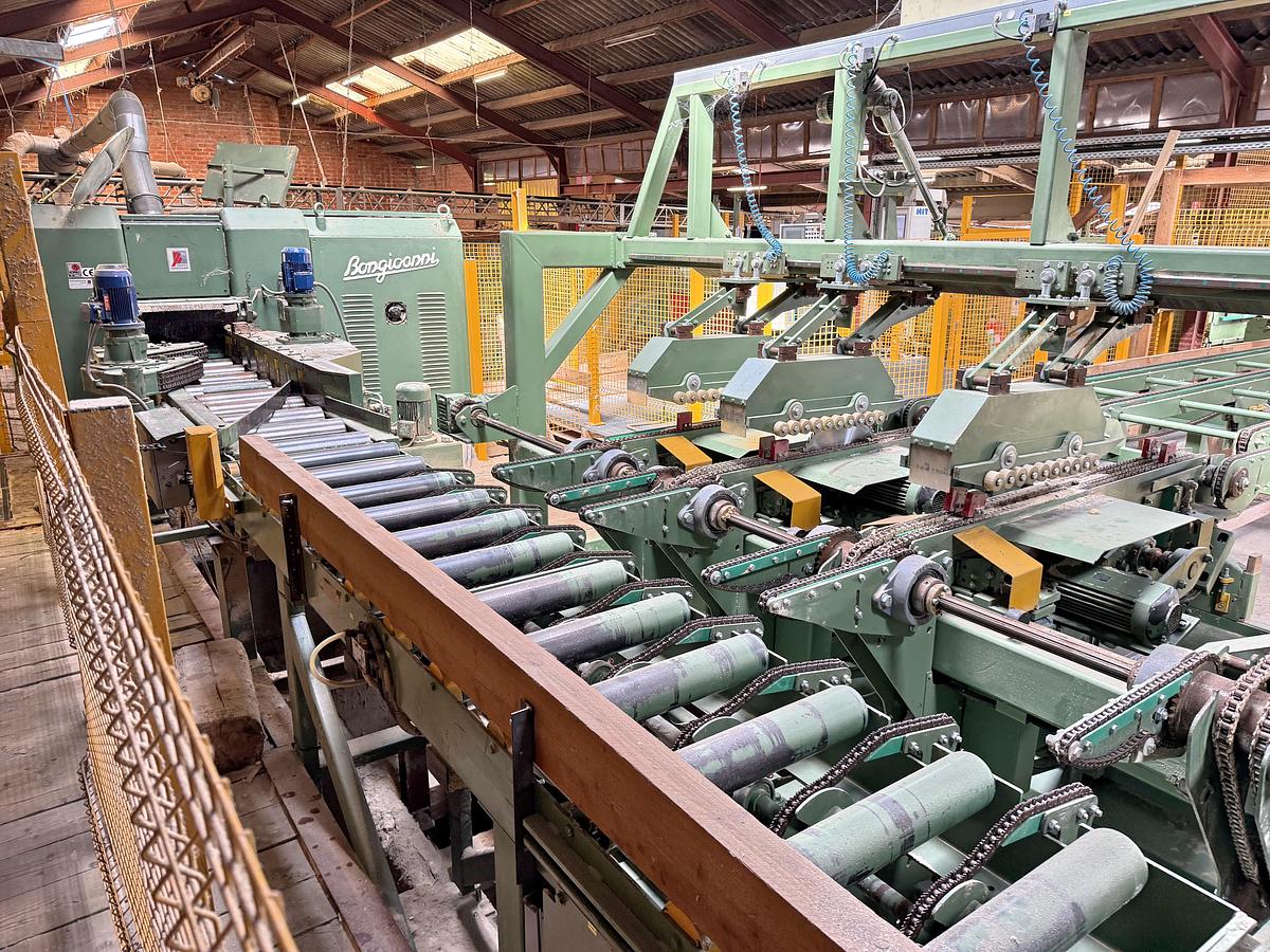 Gebruikt HIT edging line + BONGIANNI multi-ripsaw