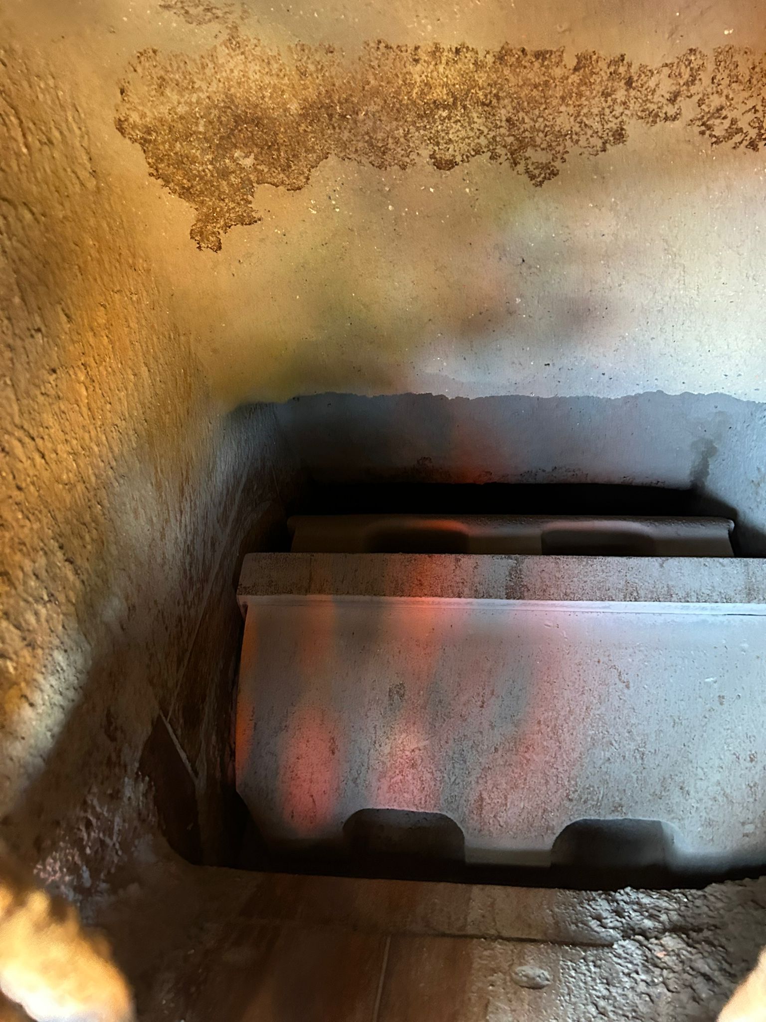 Used 2018 Terex Cobra 230