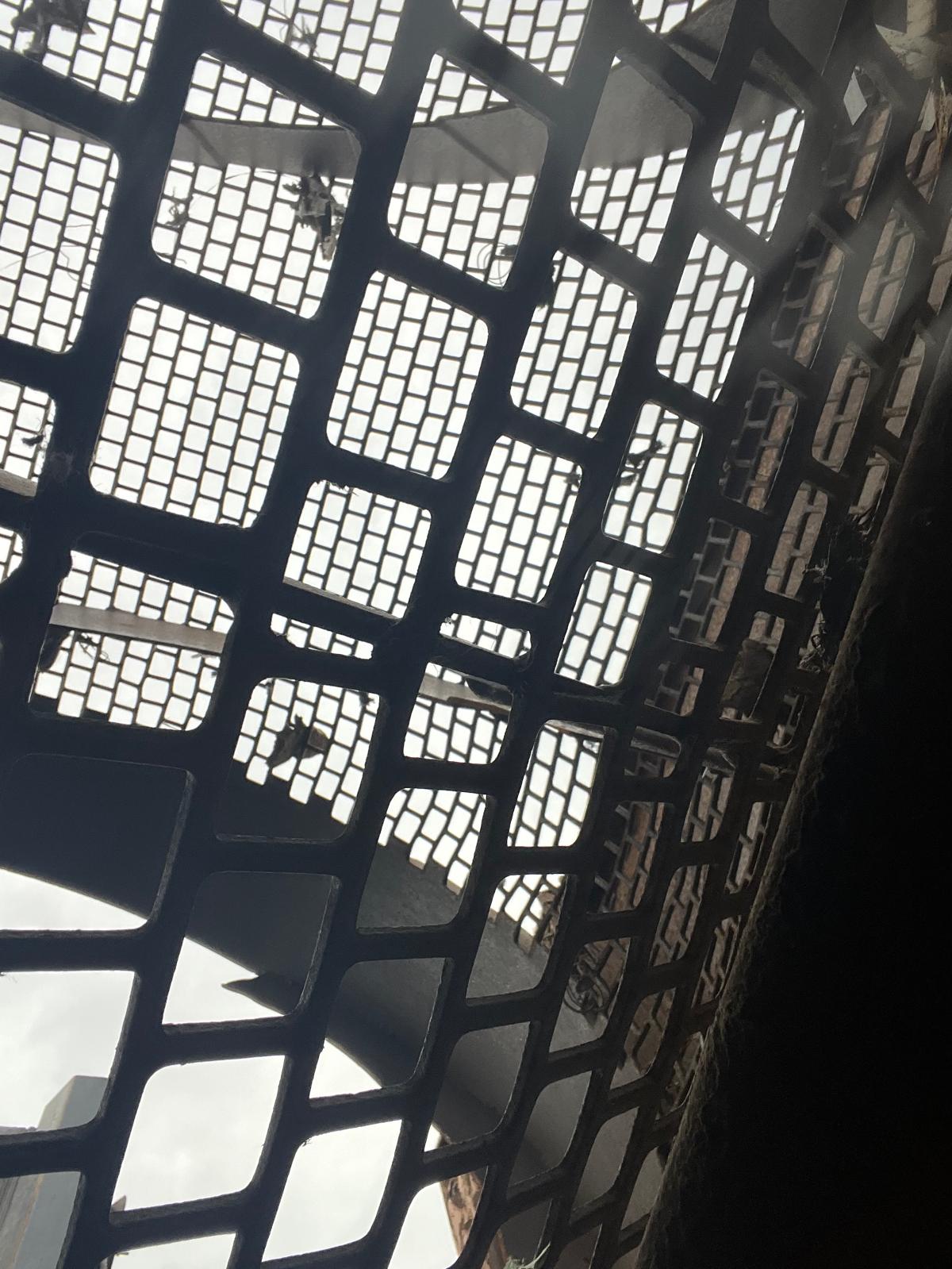 Used 2011 Doppstadt SM620K