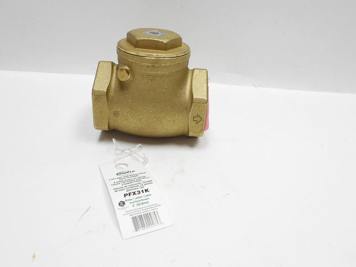 New PROFLO PFX31K 2" (50.8mm) Swing Check Valve