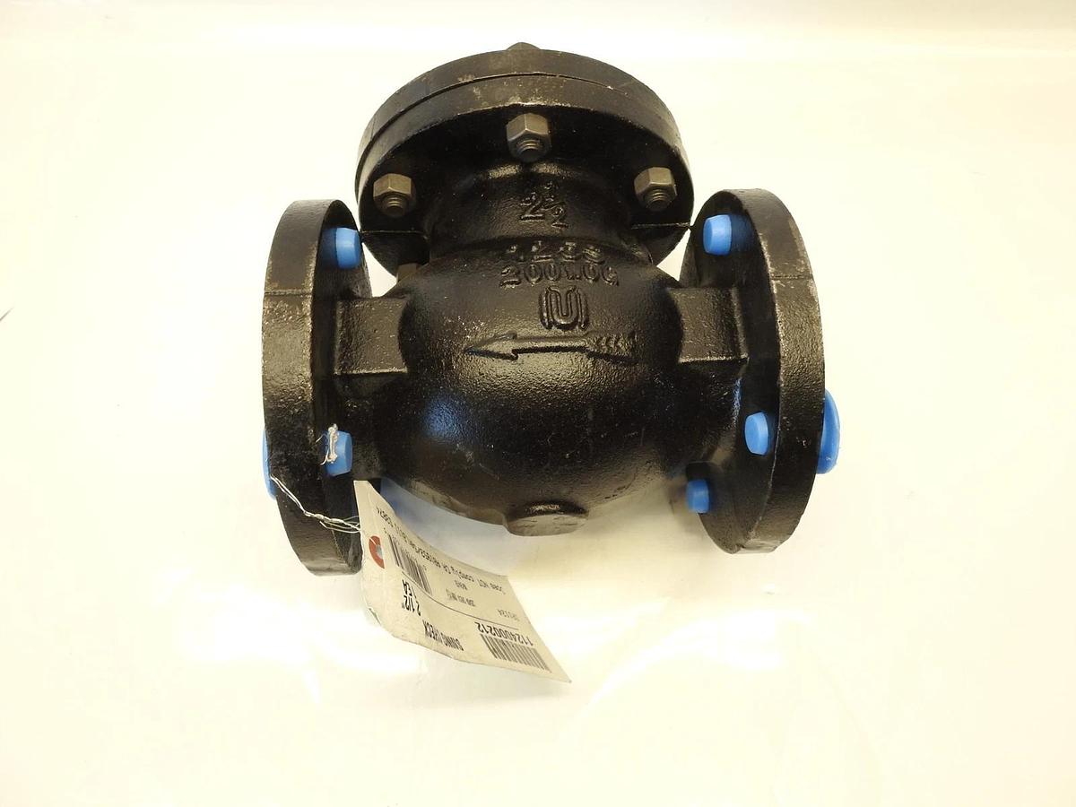 Hammond Valve 1124000212 2-1/2 in. Flanged x Flanged Cast Iron Horizontal Swing