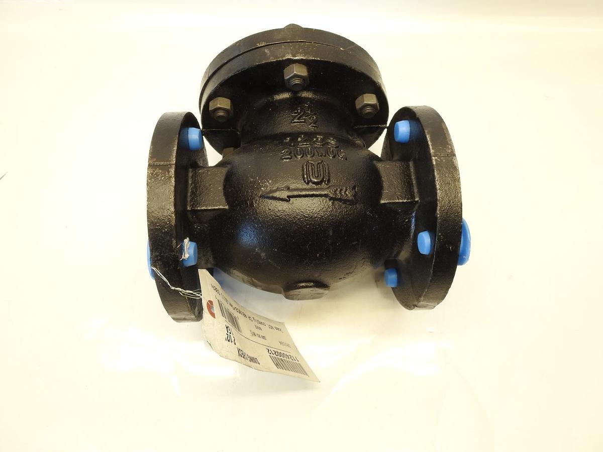 Hammond Valve 1124000212 2-1/2 in. Flanged x Flanged Cast Iron Horizontal Swing
