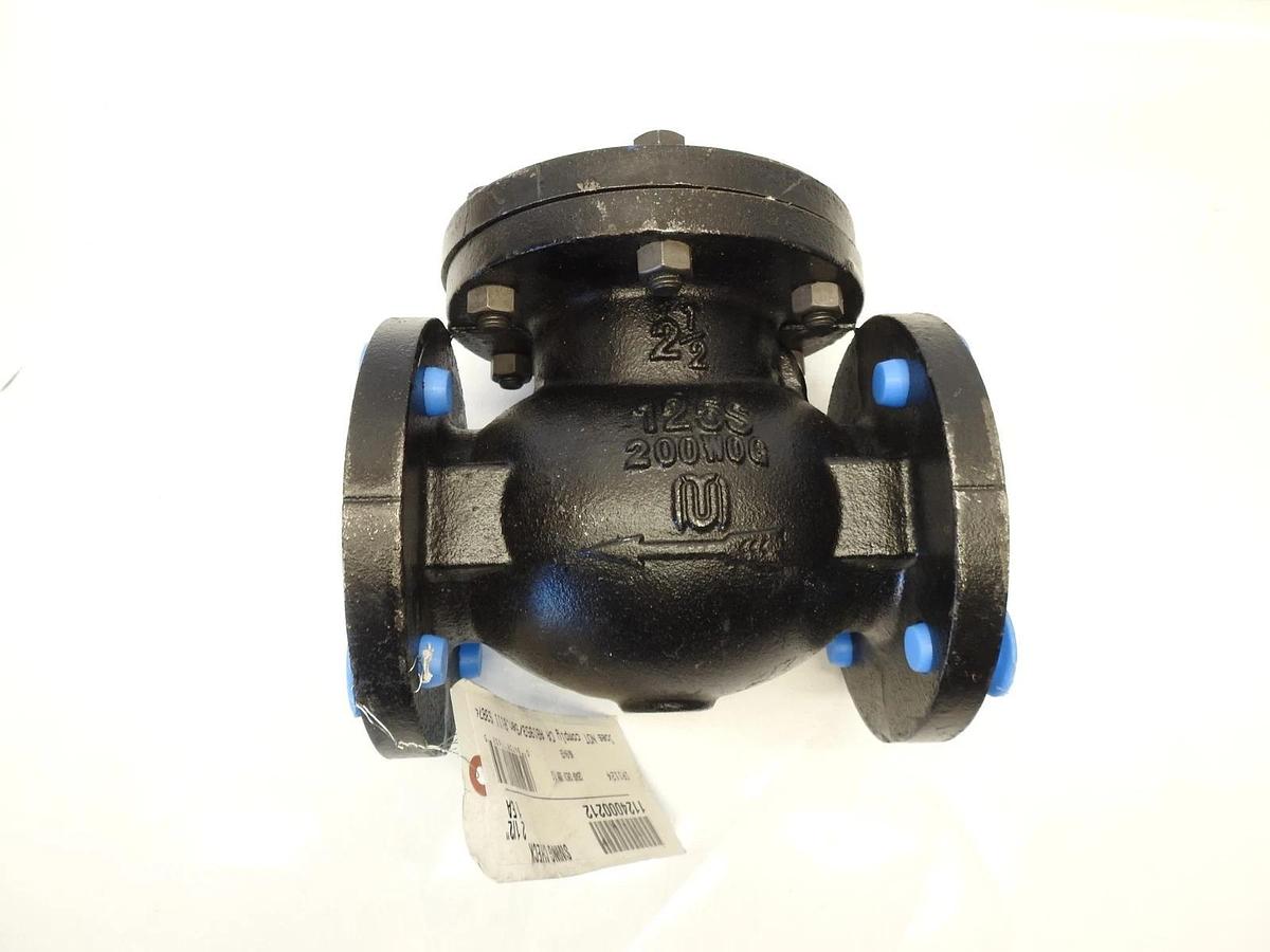 Hammond Valve 1124000212 2-1/2 in. Flanged x Flanged Cast Iron Horizontal Swing