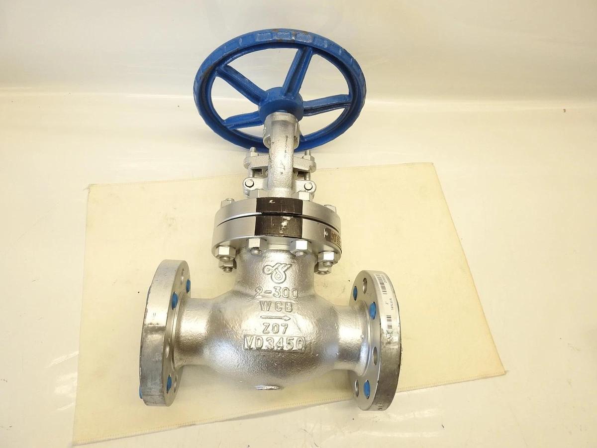 DSI Cast Steel Globe Valve 141LU-N Z07KP23/3 2" Flanged WCB x Stainless Steel Tr