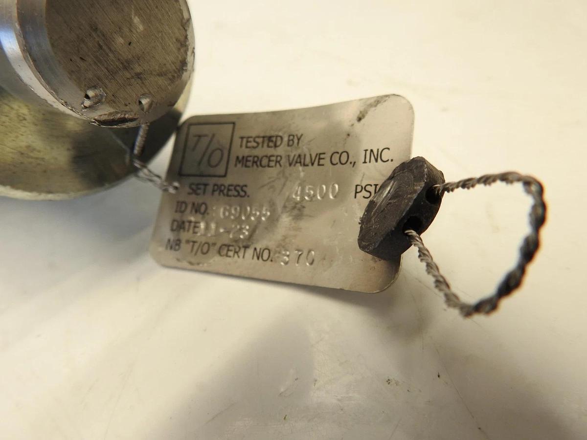New Mercer Valve - 91-M2C61P1541 - 3/4" Threaded Relief Valve - 4500 psi