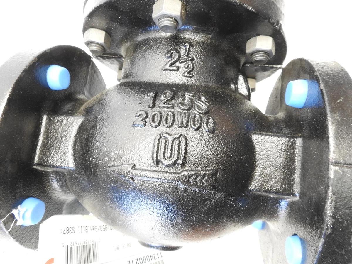 Hammond Valve 1124000212 2-1/2 in. Flanged x Flanged Cast Iron Horizontal Swing