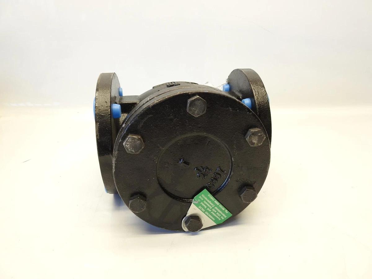 Hammond Valve 1124000212 2-1/2 in. Flanged x Flanged Cast Iron Horizontal Swing