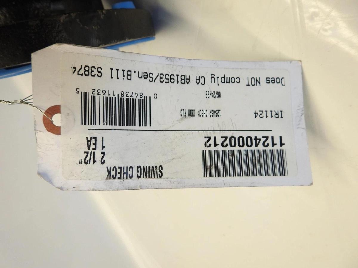 Hammond Valve 1124000212 2-1/2 in. Flanged x Flanged Cast Iron Horizontal Swing