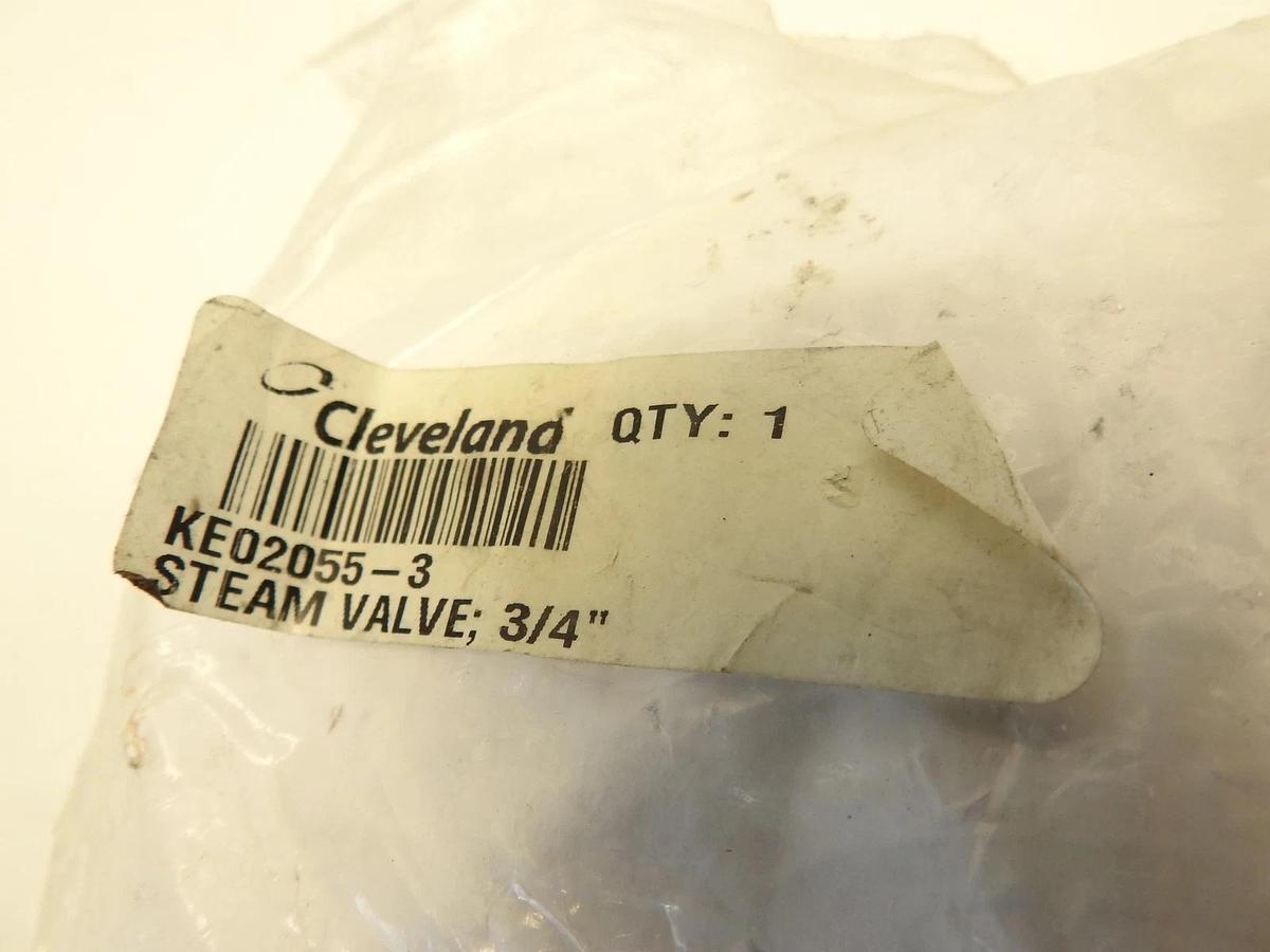 Cleveland KE02055-3 Steam Inlet Valve, 3/4" Plated Body And Nut