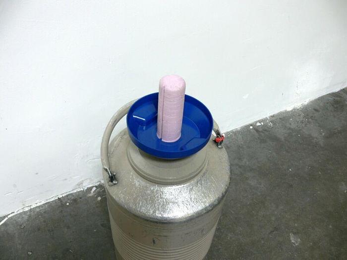 Used Taylor Wharton 10 LD 10 Liter Liquid Nitrogen Cryogenic Storage Dewar 10LD