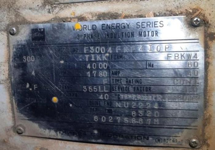Used Motor, 300 HP, 4000 Volt, 60-Cycle, World Energy Series #S744649