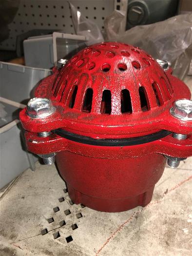 4" Painted Foot Valve