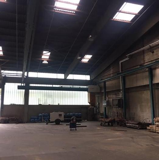 Used Balz Vakuum Sortierroboter BALZ SRV 300