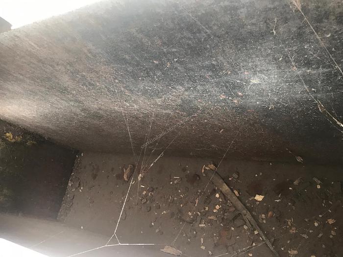 Used Jackson 4' Shaving Mill