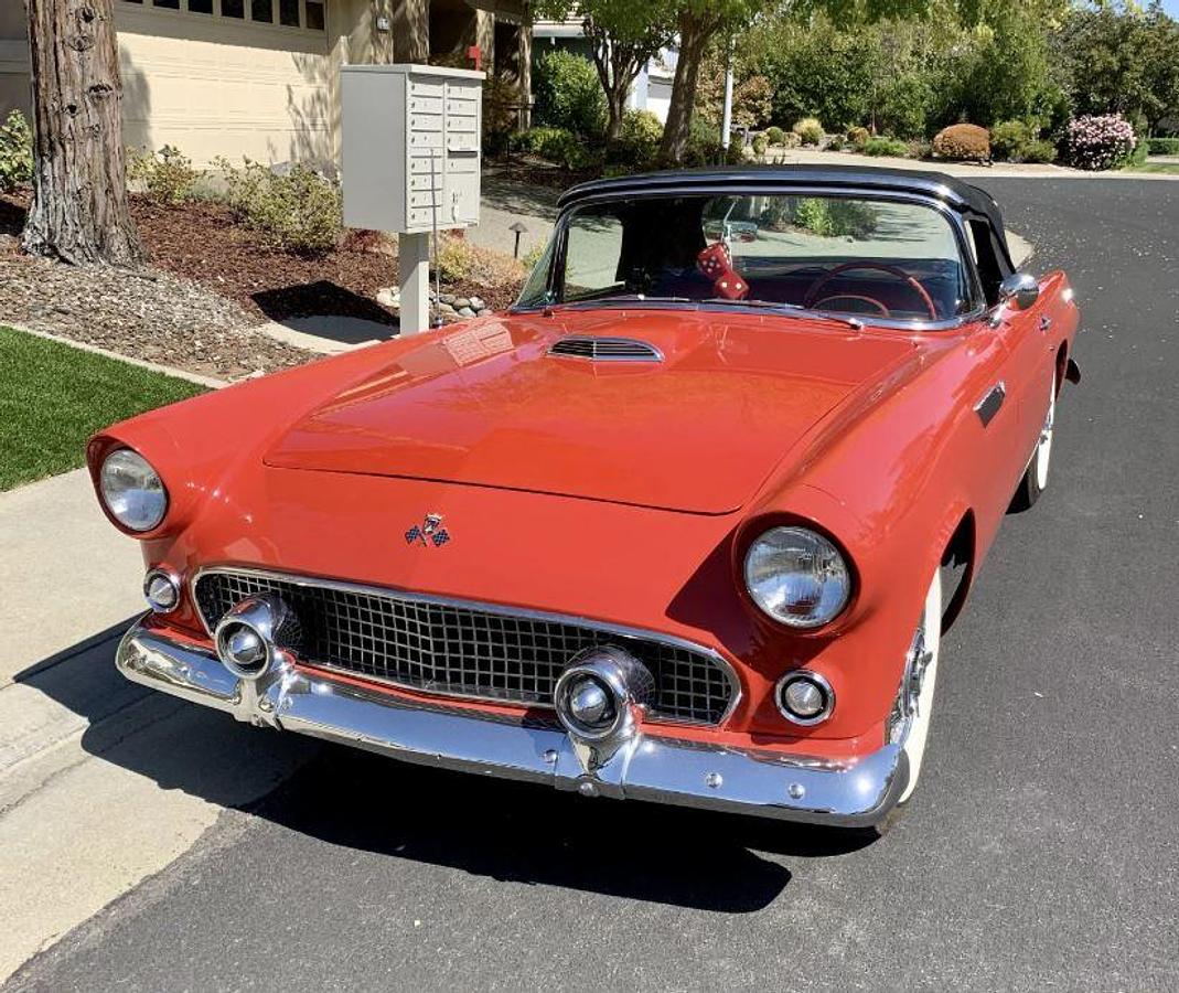 Used 1955 Ford Thunderbird
