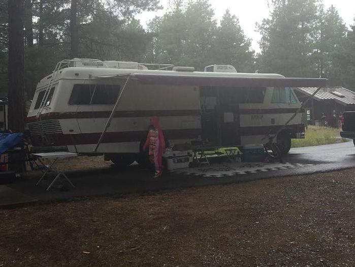 Used 1978 Apollo DB3000 Motorhome