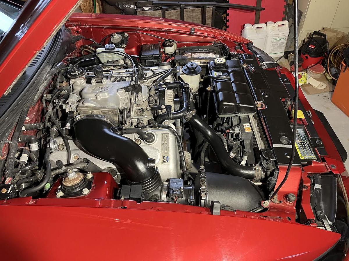 Used 2001 Ford Mustang Cobra SVT