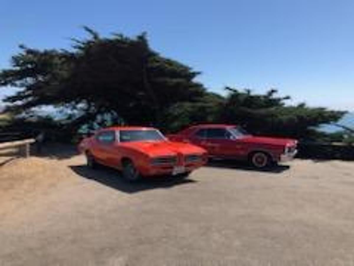 Used 1969 Pontiac GTO Judge