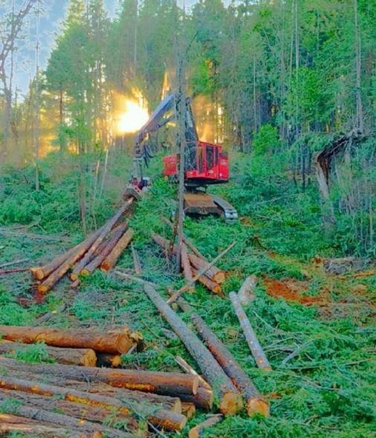 Used 2017 TIMBERPRO TL735C