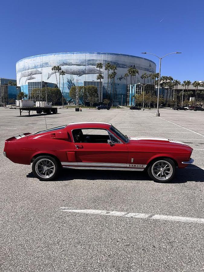 Used 1967 Ford Mustang Shelby GT350