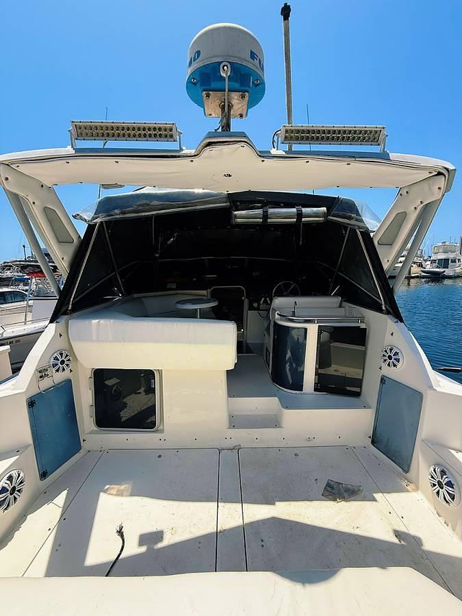 Used 1991 Bayliner Avanti 3555