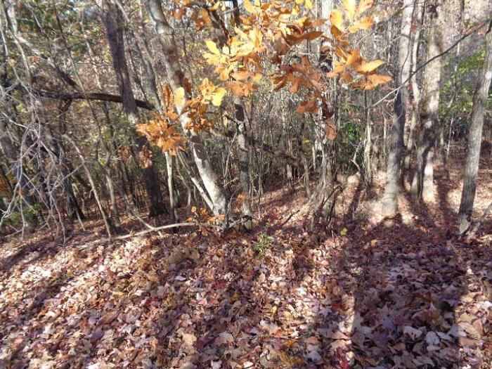 Used LOT 22 TWIN FEATHERS DR