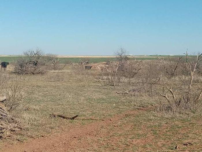 Used 2024 AG Land 162 Acres