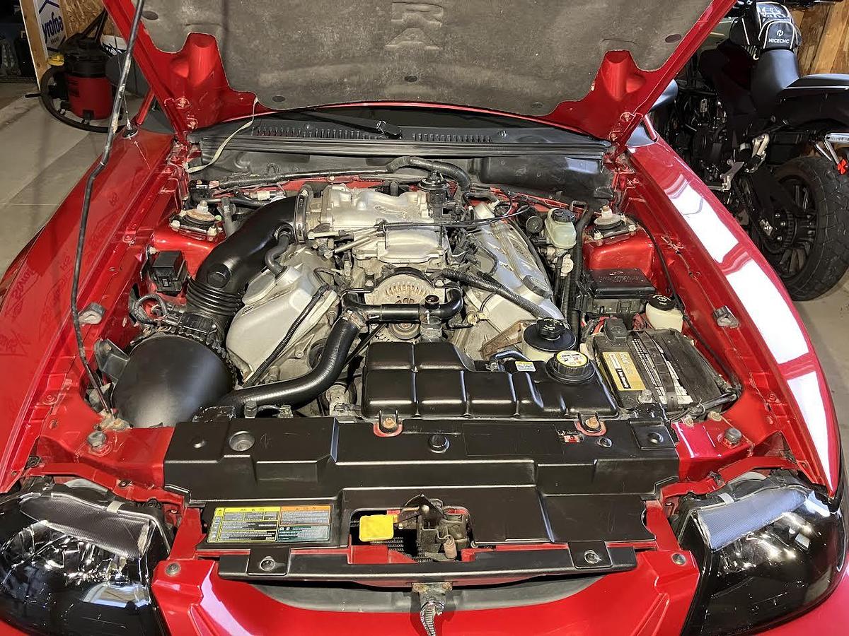 Used 2001 Ford Mustang Cobra SVT