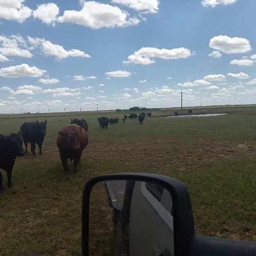 Used 2024 AG Land 162 Acres