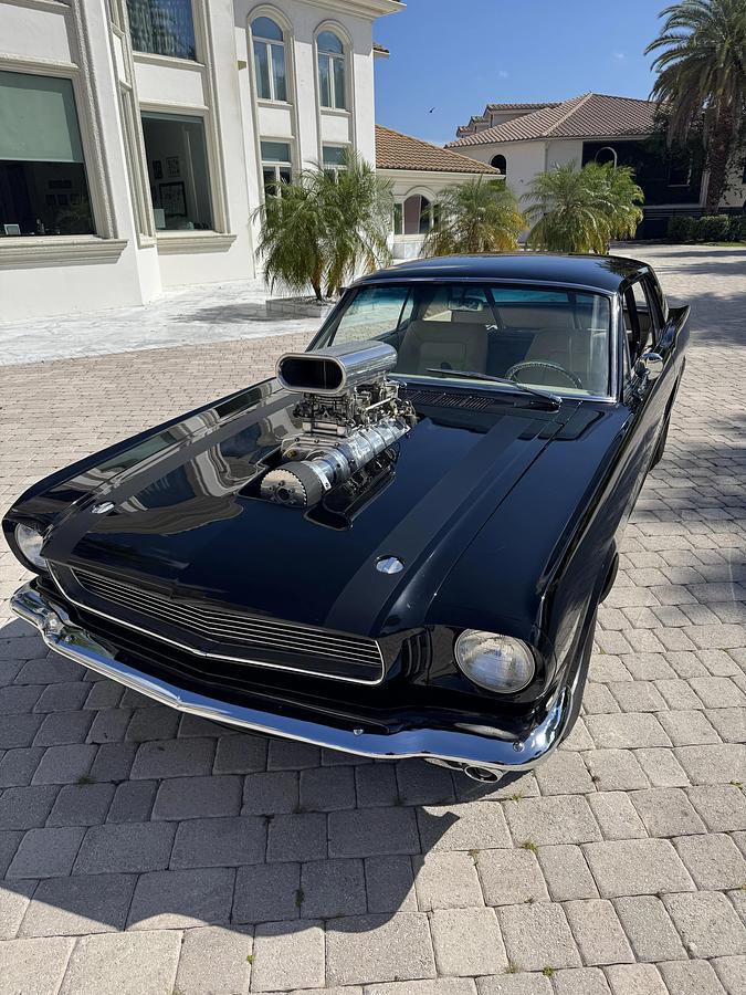 Used 1966 Ford Mustang