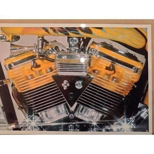 Used 2001 Indian Scout Softtail