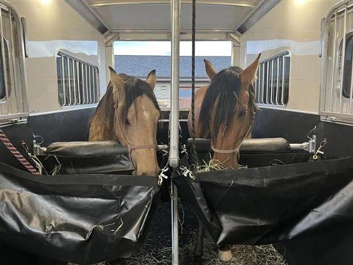 Used 2019 Cimarron Norstar