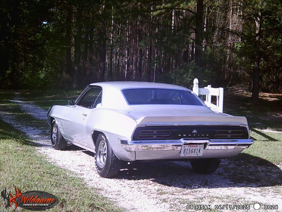 Used 1969 Pontiac Firebird