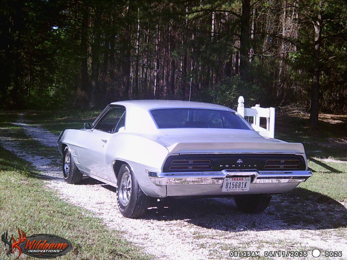 Used 1969 Pontiac Firebird