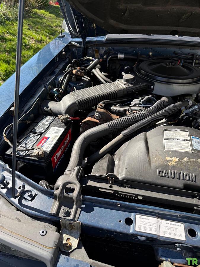 Used 1986 Ford Mustang LX Convertible 3.8L V6