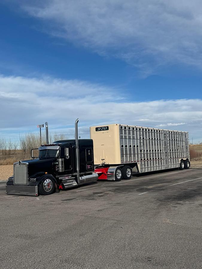 Used 2019 Kenworth W900L
