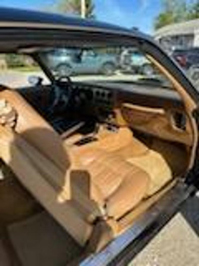Used 1977 Pontiac Trans Am