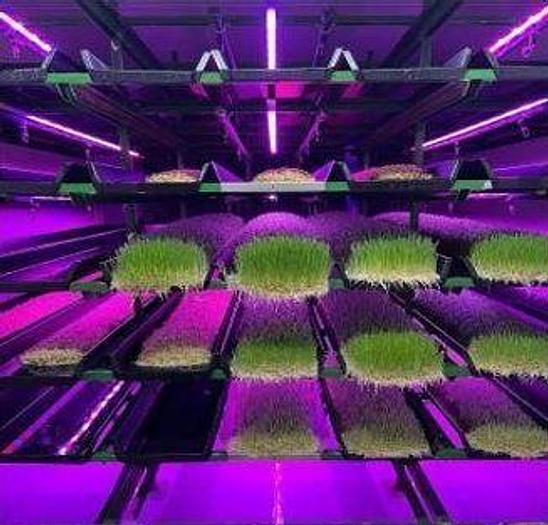 Used Hydroponic Container Growtech System