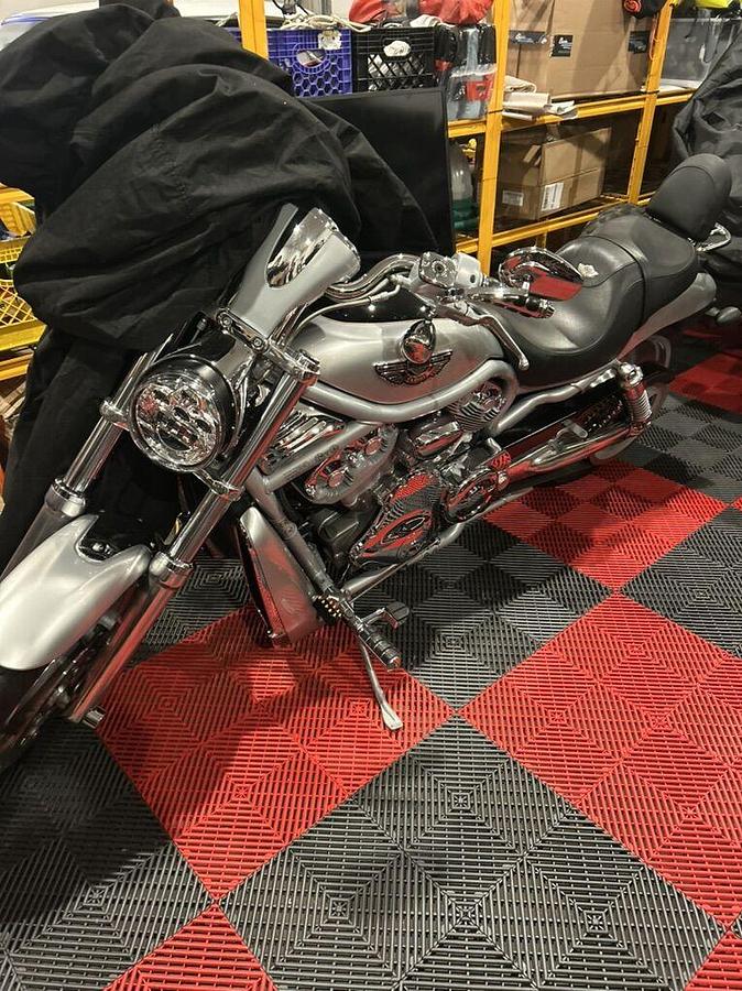 Used 2003 Harley Davidson VROD VROD Muscle
